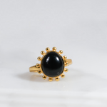 Golden Midnight Elegance