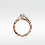 Ash Engagement Ring - Lark and Berry